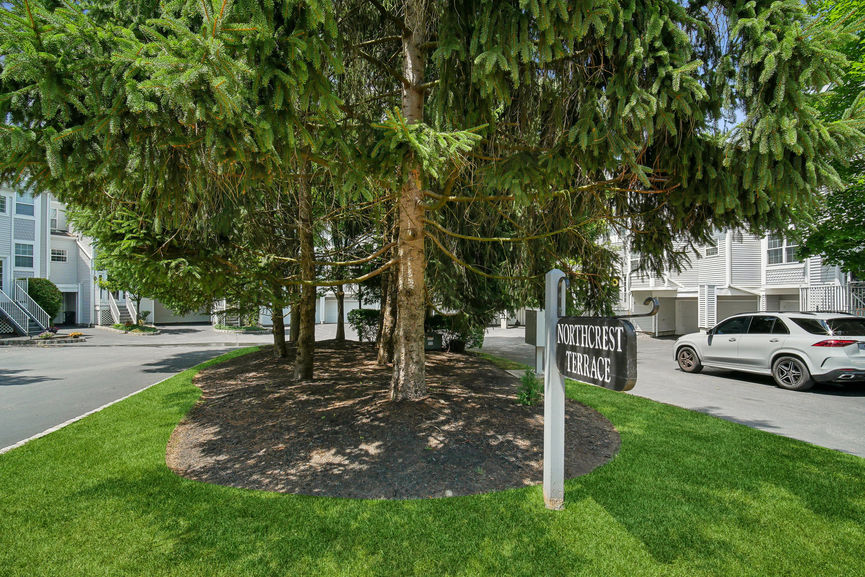 Visual Marketing and Design