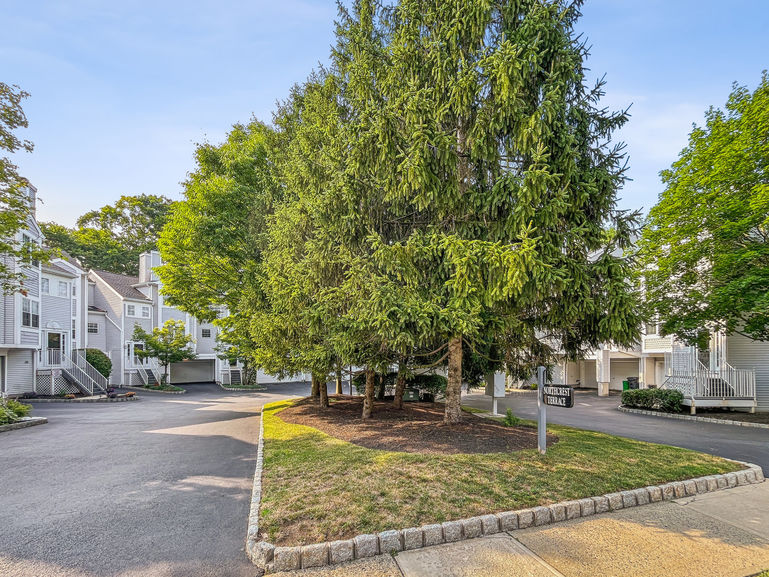 Visual Marketing and Design