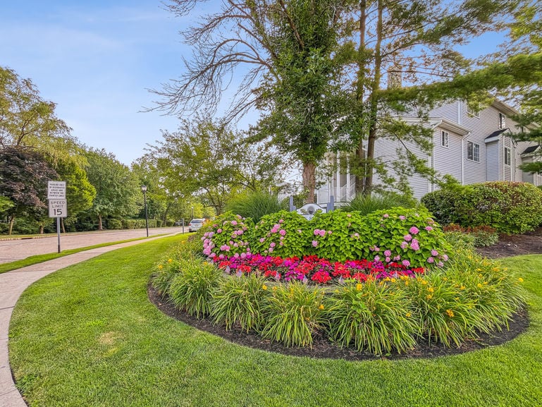 Visual Marketing and Design