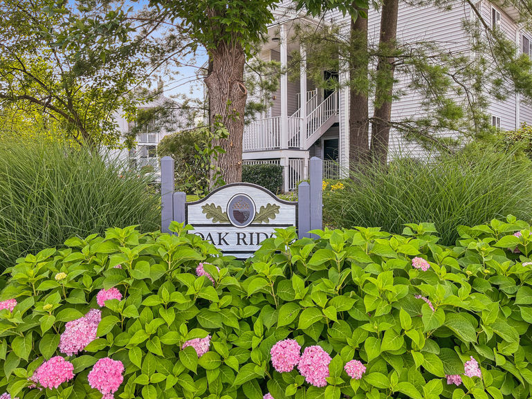 Visual Marketing and Design