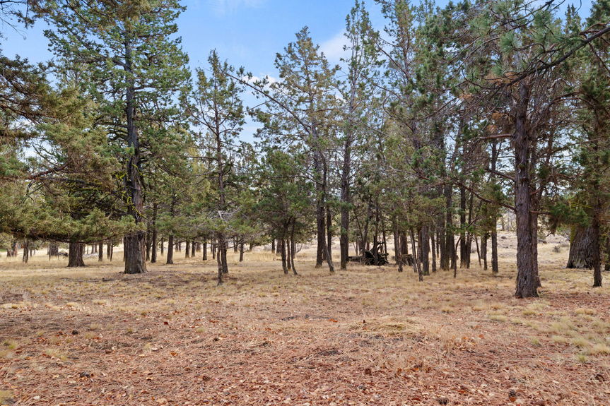 16045 Fox Ridge Tiffany Vasquez Bend Real Estate Bend Oregon LifeinBend51-web-or-mls-Riley Visuals-52