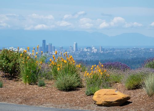 Windermere Bellevue Seattle Real Estate Washington Ryan Valdes Newcastle