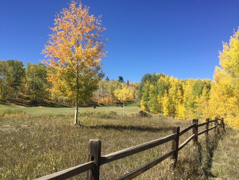 308 Adams Ranch Rd Gallery Image 5