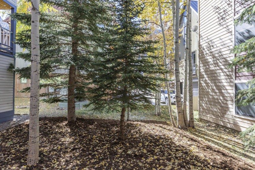 784 SMUGGLER AVENUE Gallery Image 4