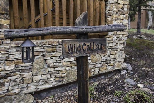 Double Cabins Townhomes Img 4