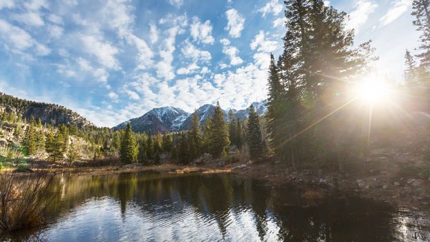 Liv Sotheby’s International Realty Img