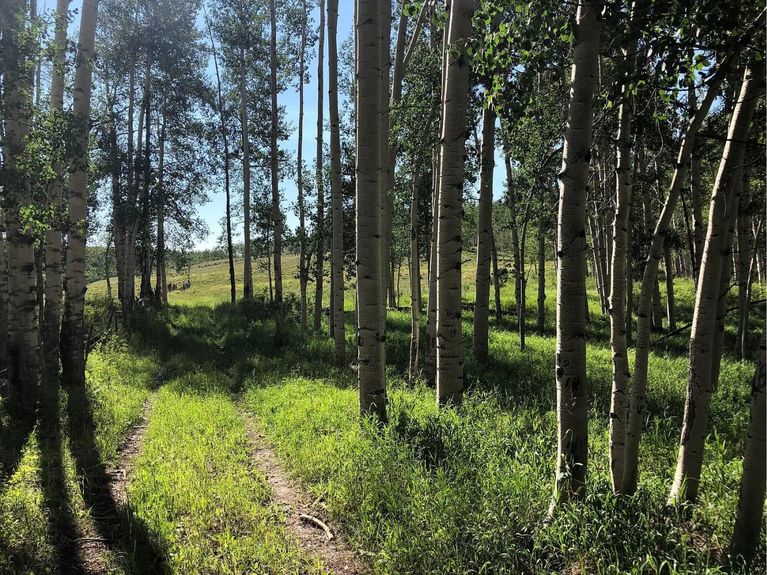 Nix Ranch Gallery Image 3 1