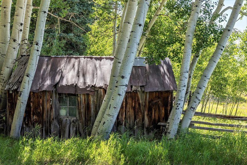 Nix Ranch Gallery Image 6 1