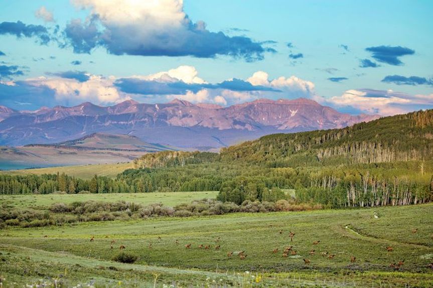 Specie Wilderness Ranch Featured Image