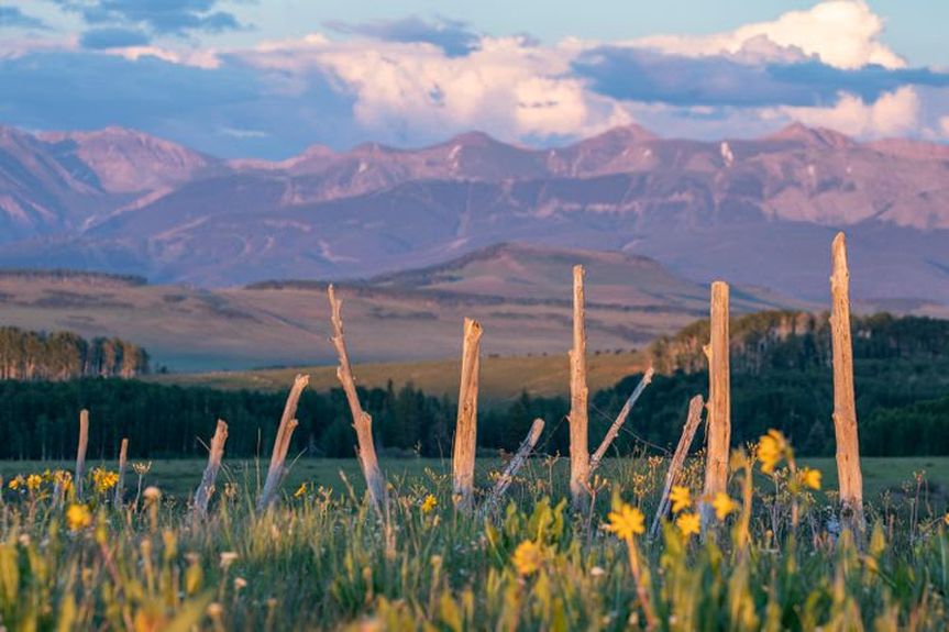 Specie Wilderness Ranch Gallery Image 1