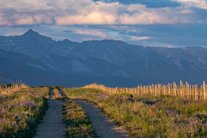 Specie Wilderness Ranch Gallery Image 2