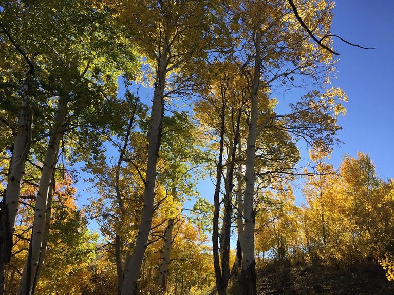 Tract 2 Specie Wilderness Ranch Gallery Image 7 1