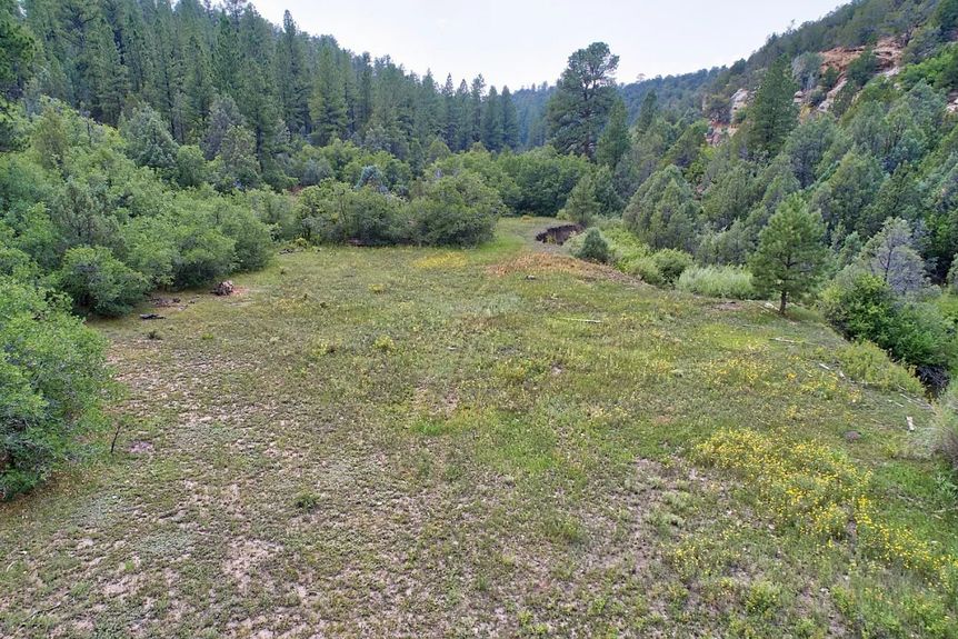 Wire Pasture Rach Gallery Image 2 1