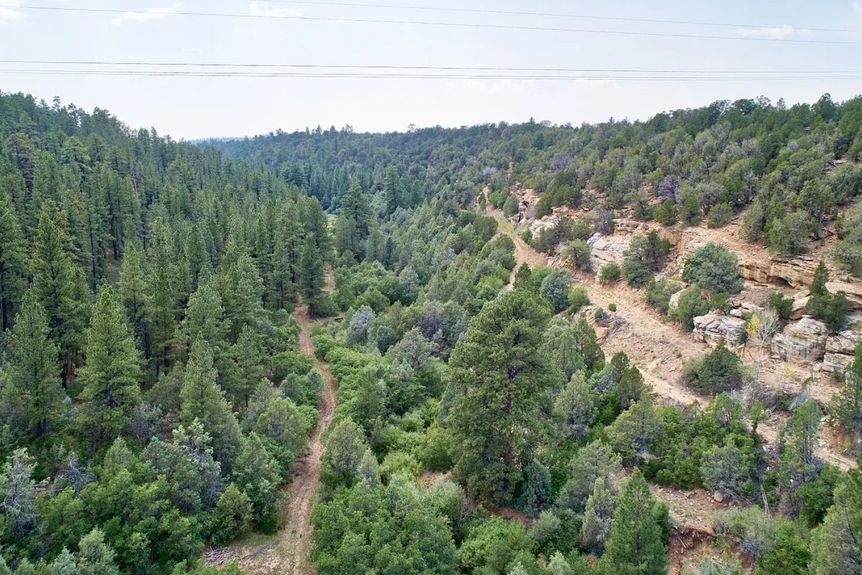 Wire Pasture Rach Gallery Image 3 1