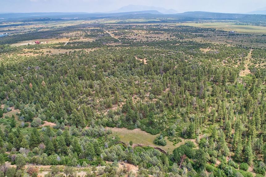 Wire Pasture Rach Gallery Image 4 1