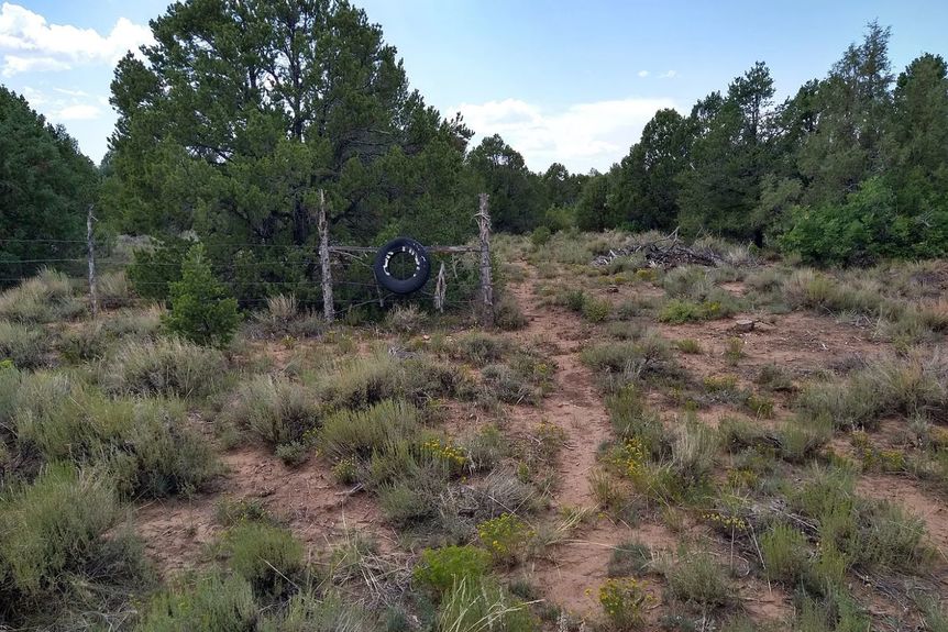Wire Pasture Rach Gallery Image 5 1