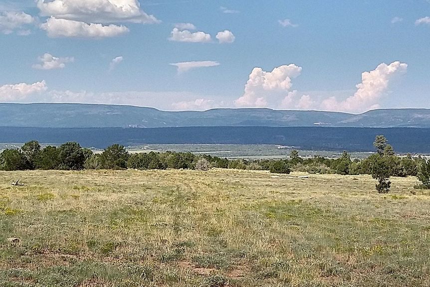 Wire Pasture Rach Gallery Image 6 1