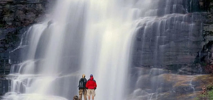 t3sg6skpbps74rwzph2x