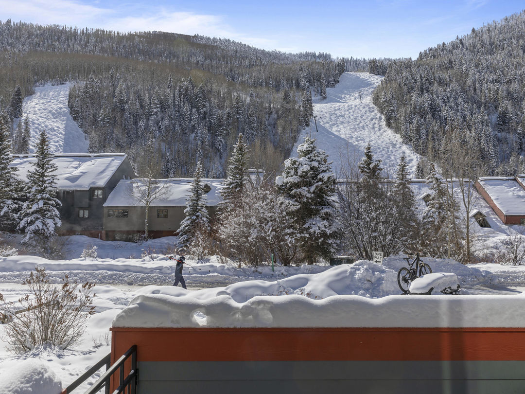 C12A3606-033-039-2048&#215;1536