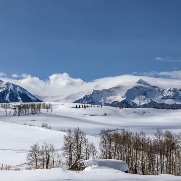 January 2026 Housing Market Update for &hellip;