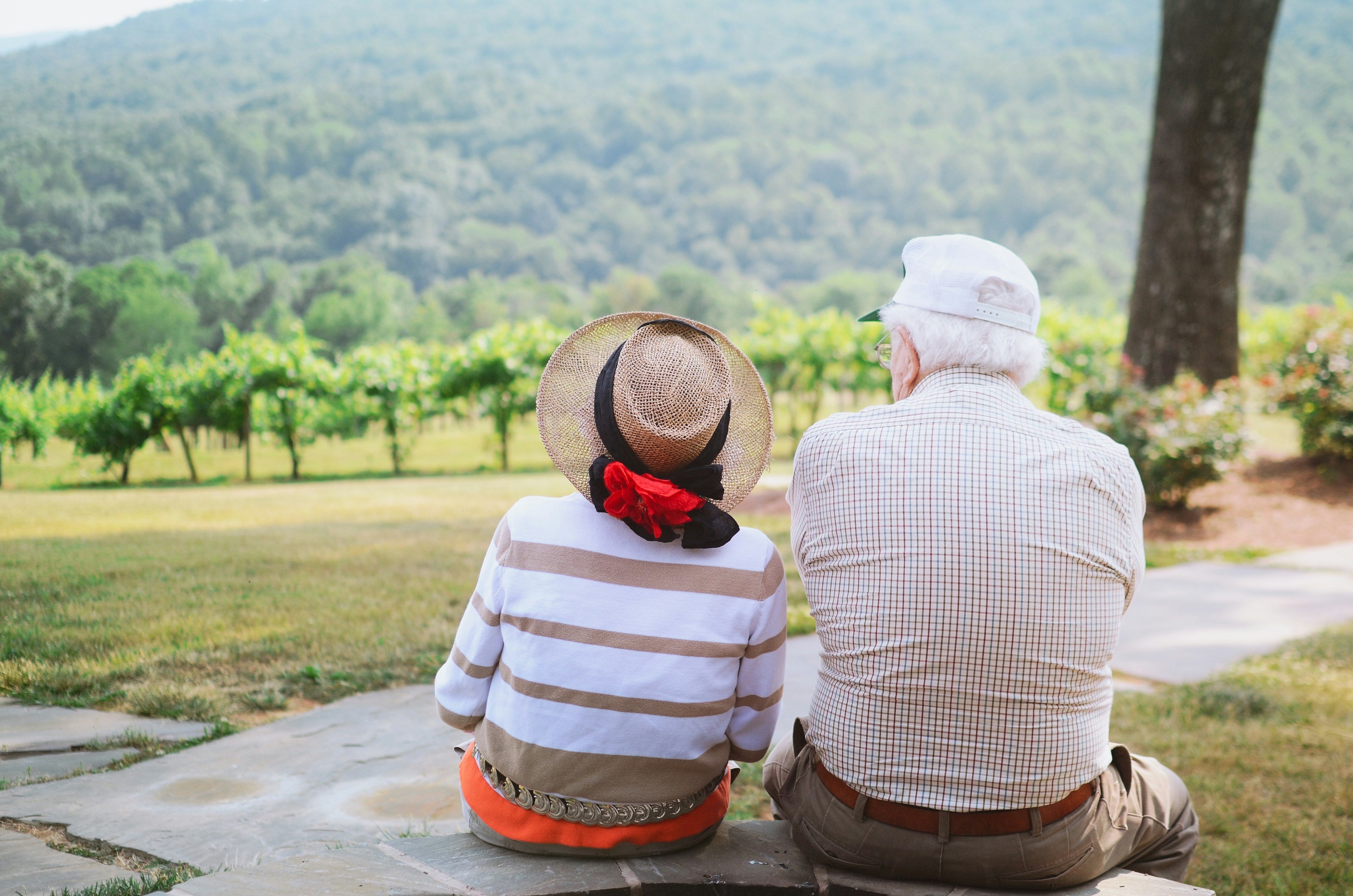 Couple looking at vineyards