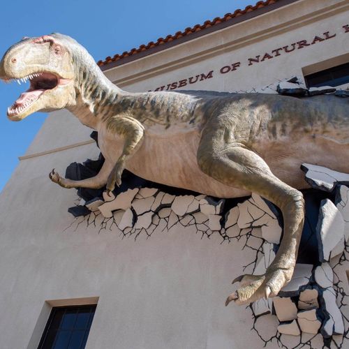 10 Fun Things To Do in Mesa, Arizona with Your Family This Weekend