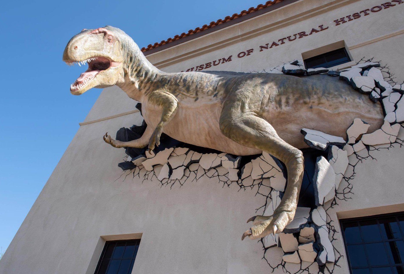 Things to do in Mesa Arizona