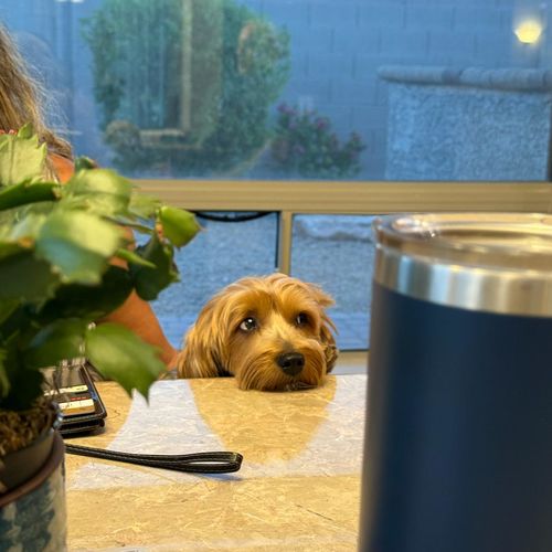 Selling Extraordinary Properties — A Day in My Life