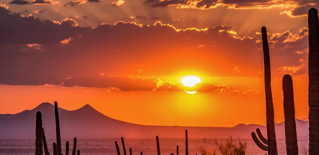 Desert lifestyle and walking trails in Las Sendas Mesa AZ community