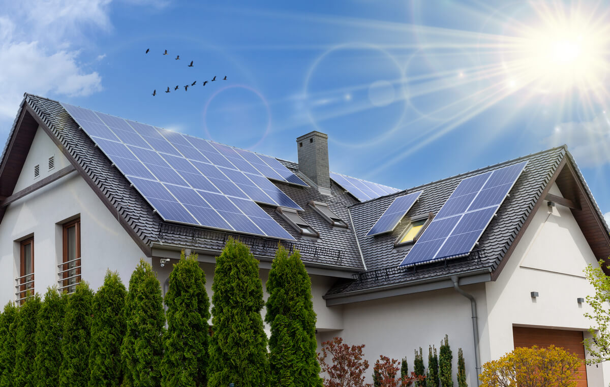 What Homeowners Need To Know About Solar Panels