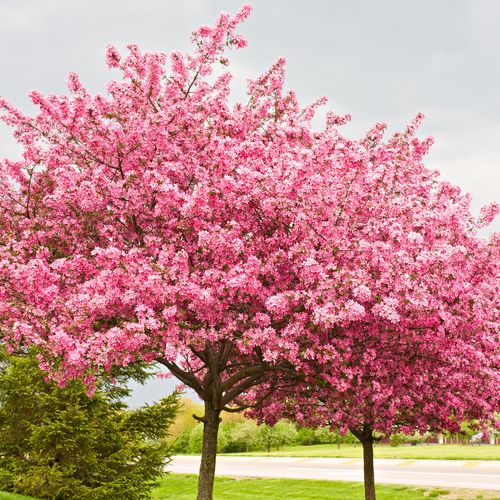 Fall in Love With Your Next Move This Spring!