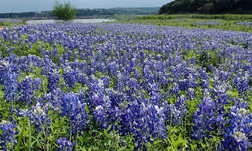 Back from Spring Break? It Might Be the …