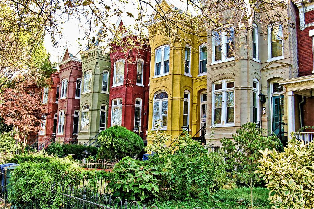 Photograph - Colorful rowhomes in Washington, D.C.