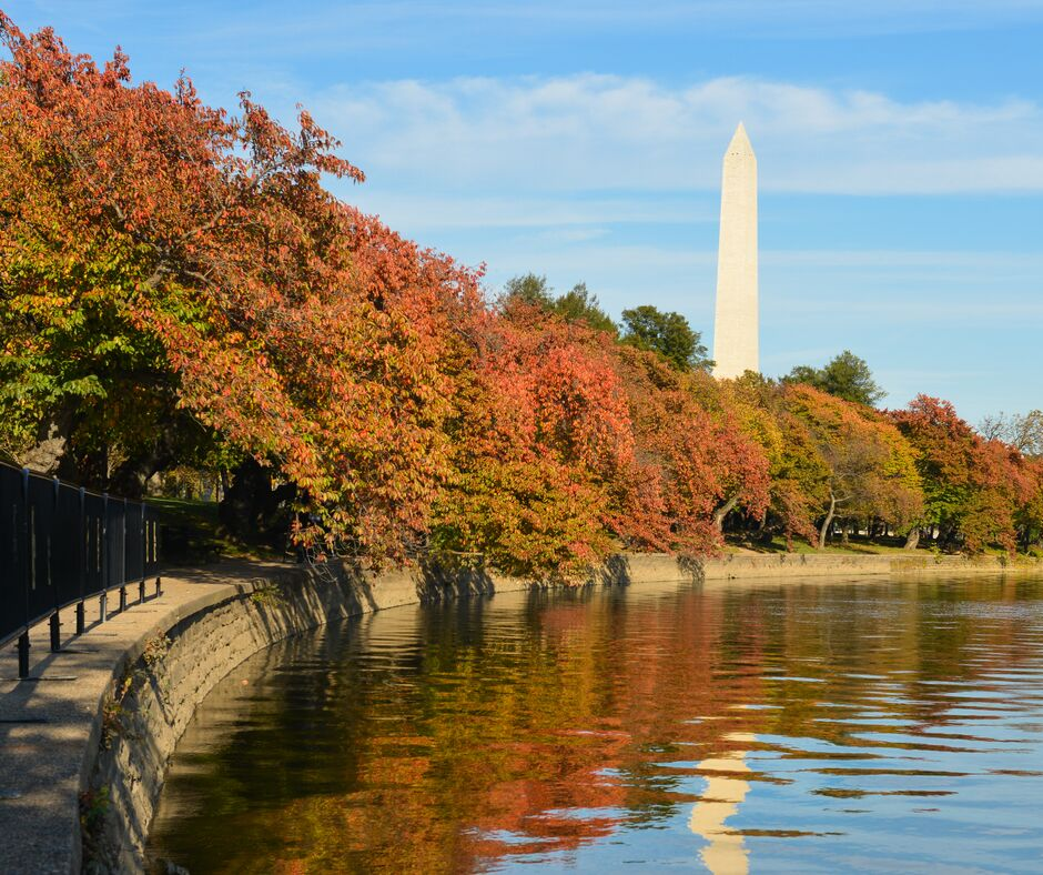 The Washington DC Tidal Basin in the Fall