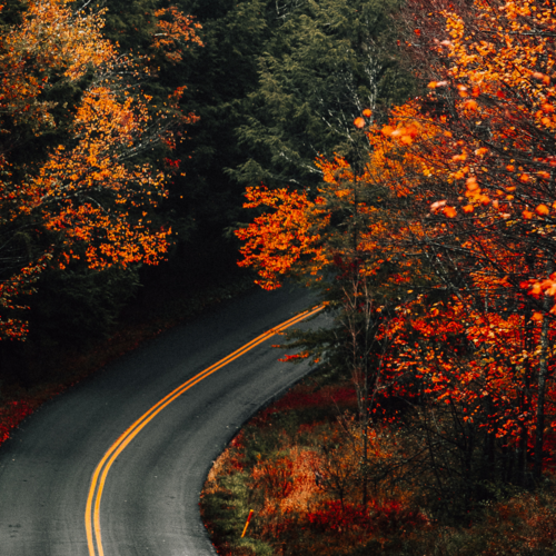 The Unexpected Perks of Buying a Home in the Off-Season