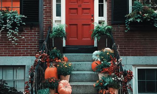 Fact vs. Fiction: 11 Spooky Housing Myths …