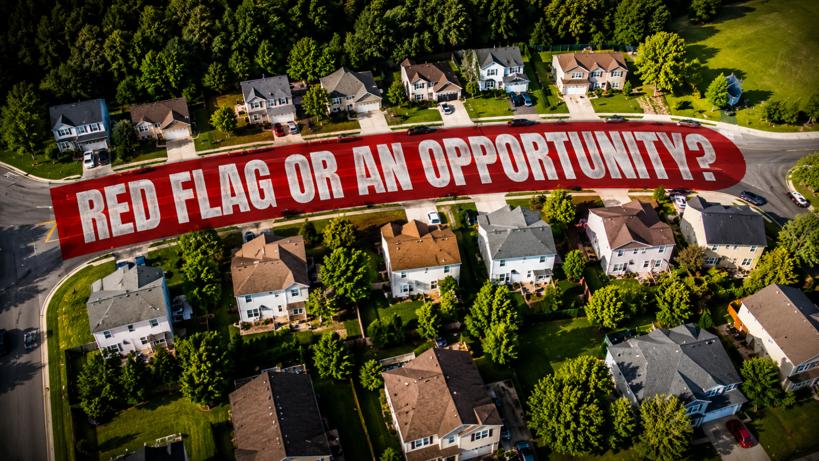 Red Flag or Opportunity?