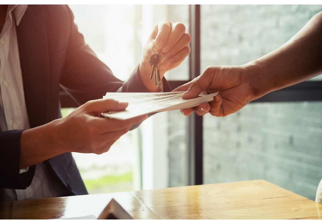 Untitled design (14)