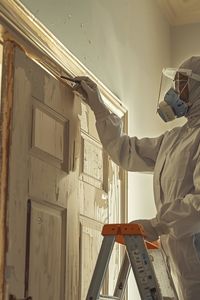 Cómo Proteger a Tu Familia de los Riesgos del Plomo