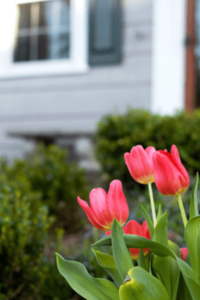 Mayo: El Mejor Momento de la Primavera para Vender