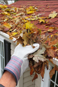 The Fall Home Maintenance Tasks Every Rhode Island Homeowner Should …