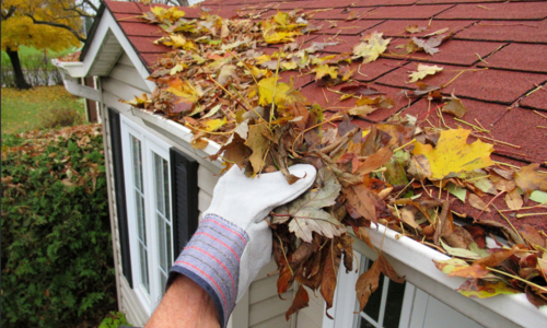 The Fall Home Maintenance Tasks Every Rhode Island Homeowner Should &hellip;