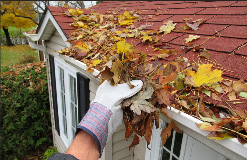 The Fall Home Maintenance Tasks Every Rhode Island Homeowner Should Know Alex Parmenidez
