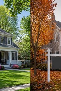 How Does the Fall Market Differ From the Spring Real &hellip;