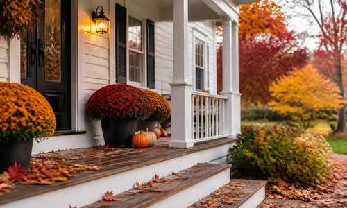 How Does Curb Appeal Change in the Fall?