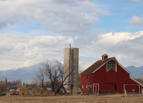 longmont-1