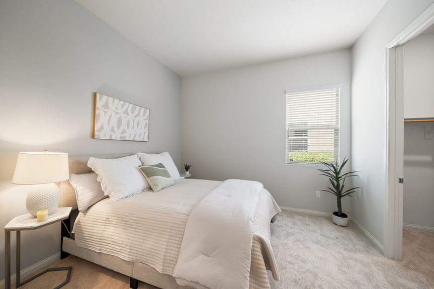 31-web-or-mls-AL7I4195