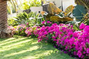 Miami Home Landscaping