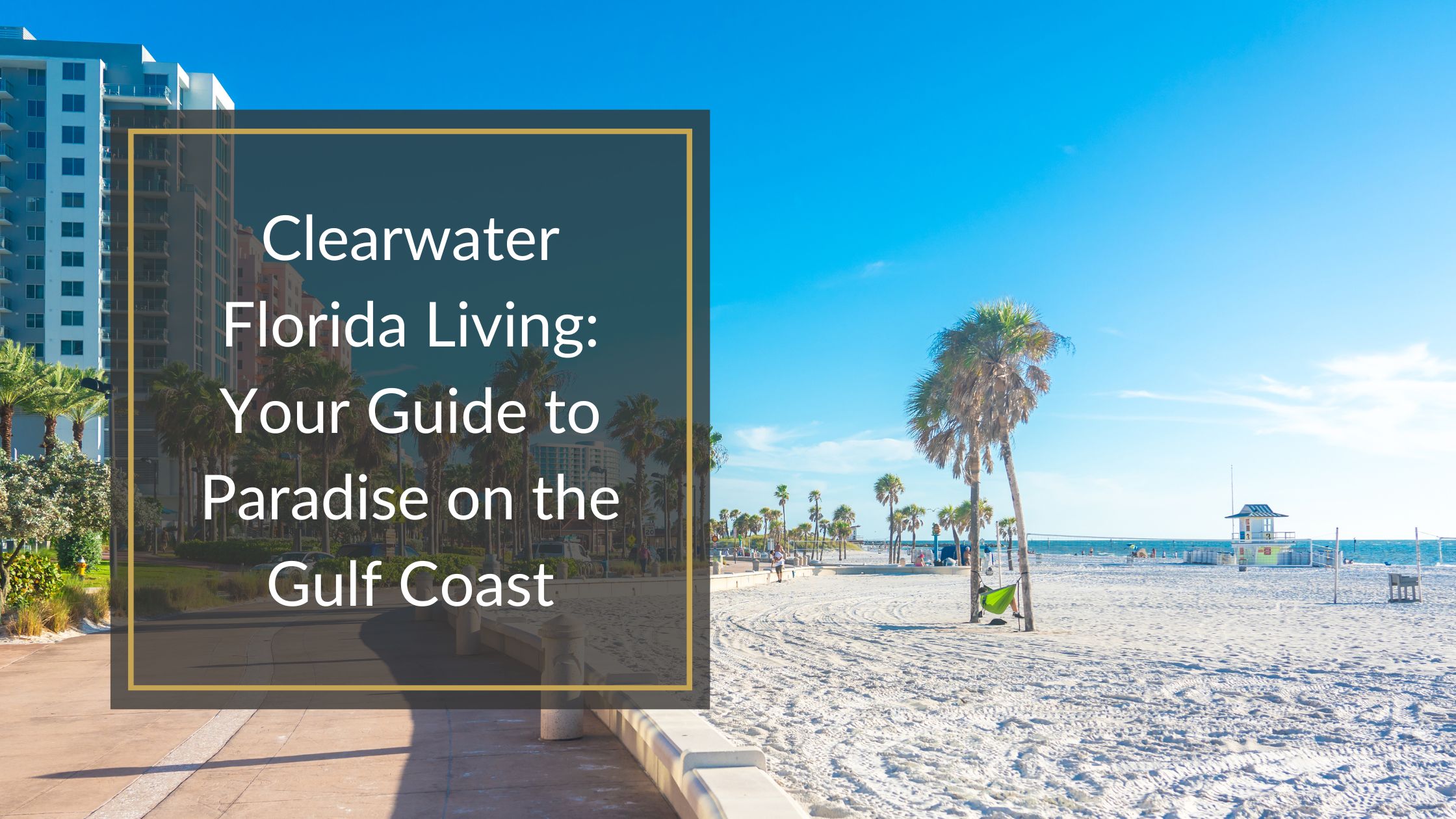 clearwater florida living