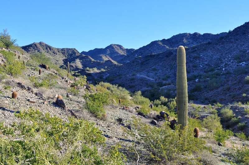 Top 14 Places to Visit in Paradise Valley